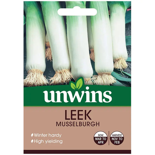 Leek Musselburgh Seeds - hardy, high yielding winter leek, 350 seeds, sow Mar-Apr, harvest Nov-Feb | Keans Claremorris