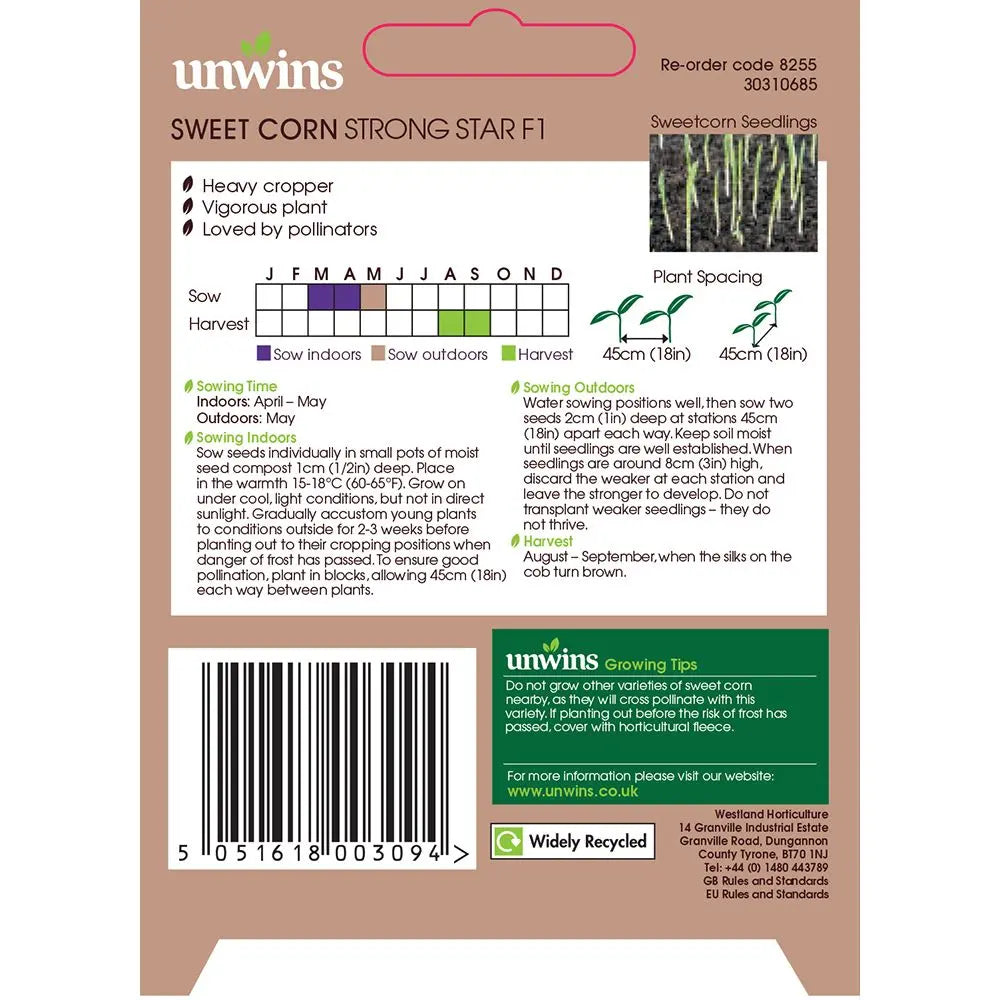 Sweetcorn Strong Star F1 seeds for high-yield crops, available at Keans Claremorris.