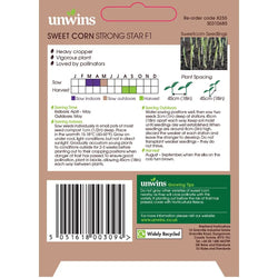 Sweetcorn Strong Star F1 - KeansClaremorris