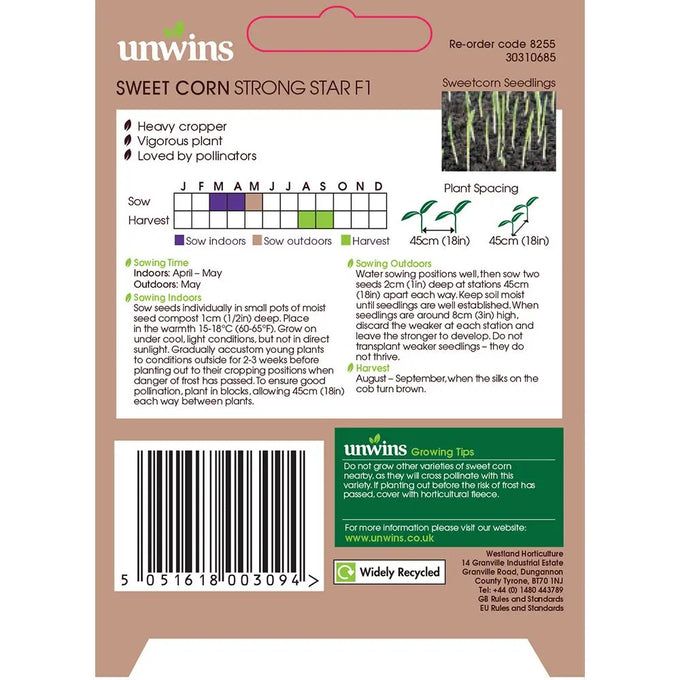 Sweetcorn Strong Star F1 - KeansClaremorris