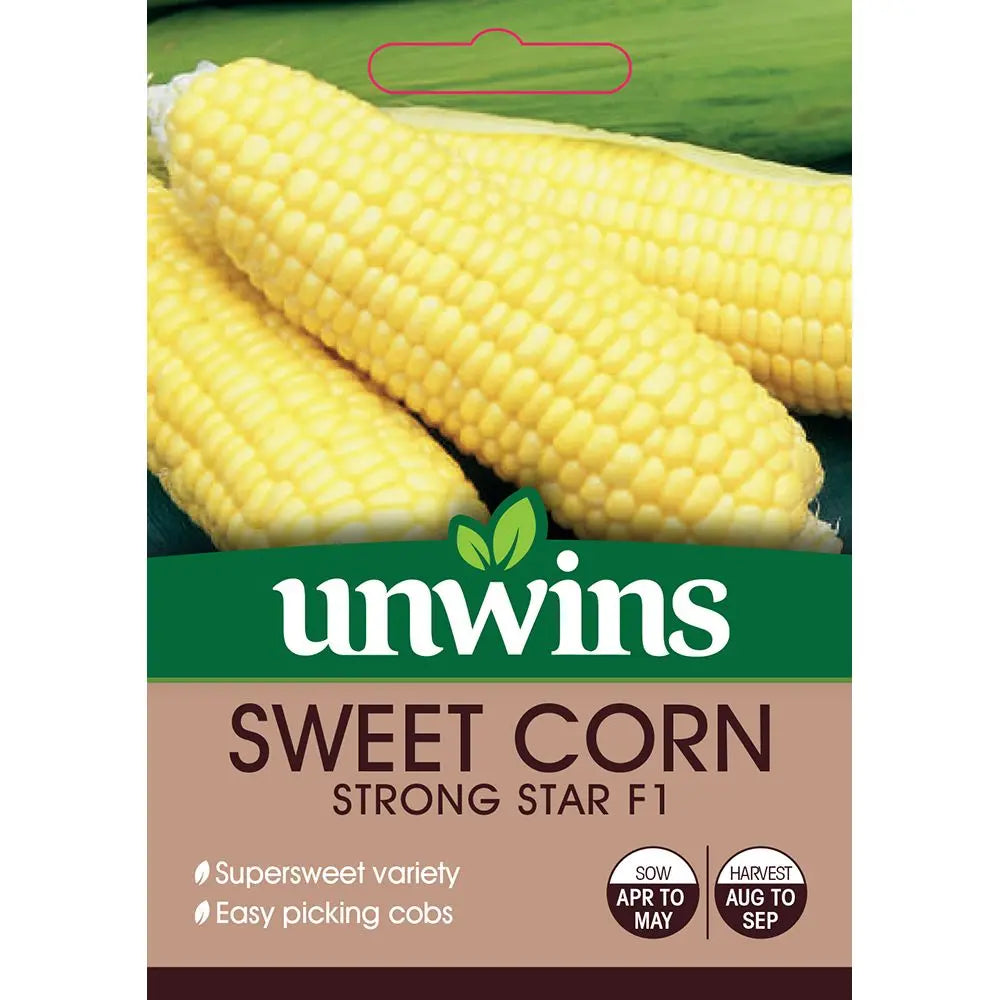 Sweetcorn Strong Star F1 super sweet, pollinator-friendly, easy-pick cobs from Keans Claremorris.