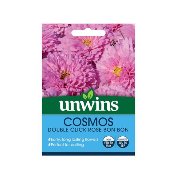 Cosmos Double Click Rose Bon Bon - Image 1