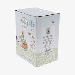 Peter Rabbit The Tale Money Bank
