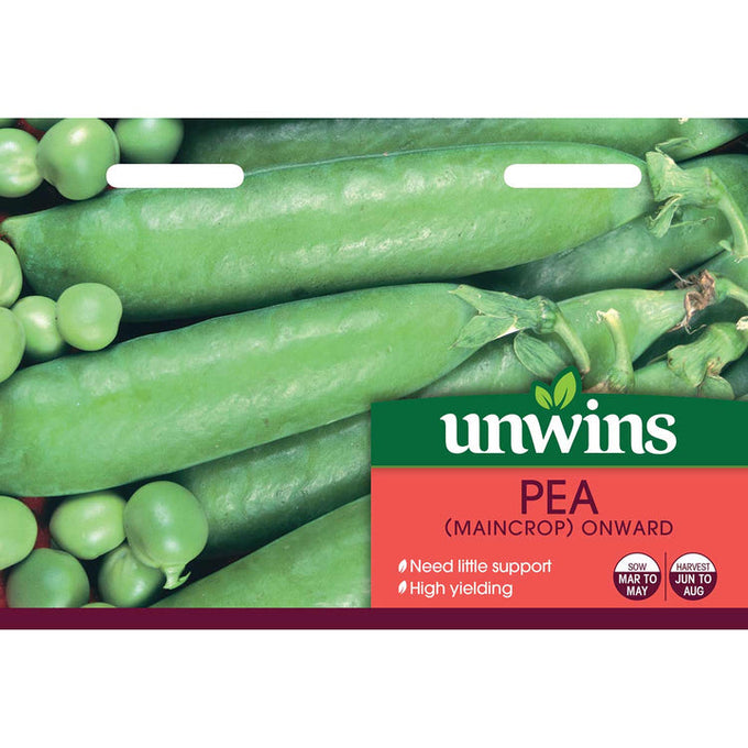 Pea Early Onward seeds - high yield, great flavor, 60cm tall, prefers full sun. Available at Keans Claremorris.