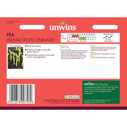 Pea Early Onward variety, fresh green pods, high yield, perfect for early harvest – available at Keans Claremorris.