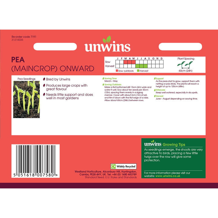 Pea Early Onward variety, fresh green pods, high yield, perfect for early harvest – available at Keans Claremorris.