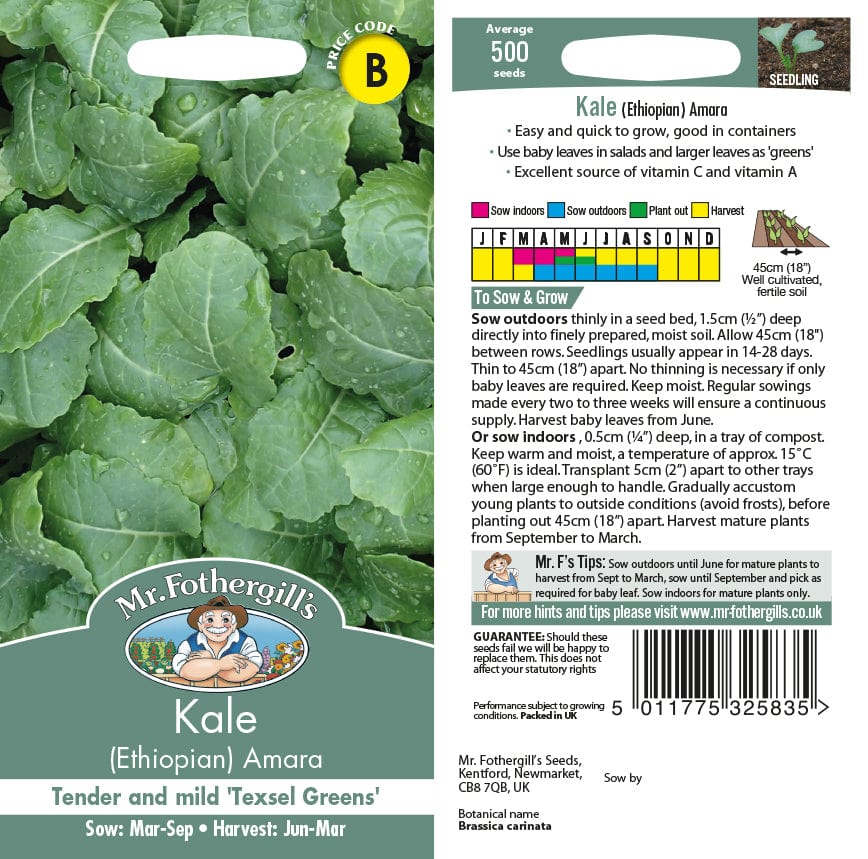 Close-up of bright green, tender kale leaves on Mr. Fothergill’s Ethiopian Amara seed packet.