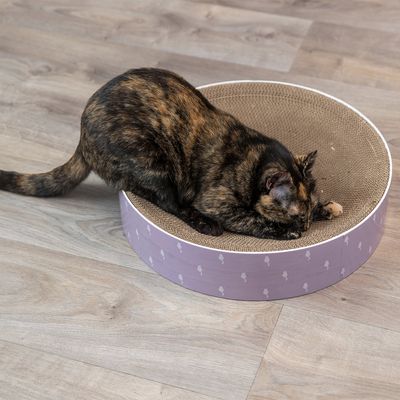 Cat Scratching Bed Lily with cozy design for cats, durable material, from Keans Claremorris store.