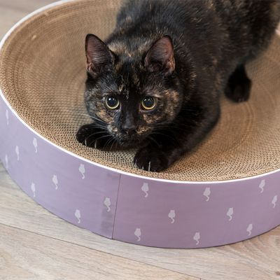 Cat Scratching Bed Lily with cozy design for cats, durable material, available at Keans Claremorris.