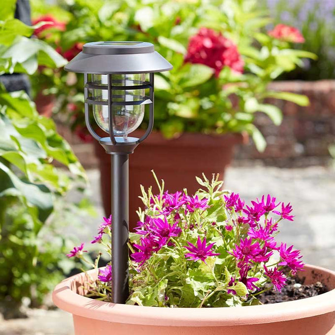 Avant Stake Light 5L - Image 3