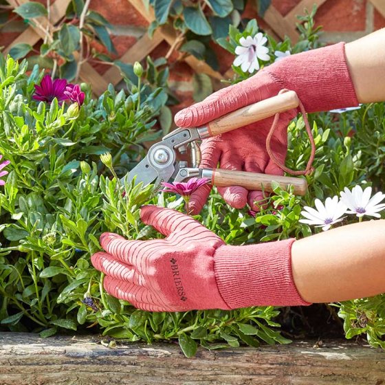 Multi Grip All Rounders Berry Medium Size 8 shoes, water resistant, comfort fit, Hi-Grip sole – Keans Claremorris