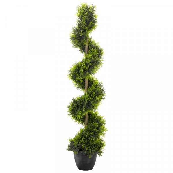 Cypress Topiary Twirl plant with spiral shape, perfect for garden decor – available at Keans Claremorris.