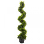 Load image into Gallery viewer, Cypress Topiary Twirl
