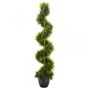 Cypress Topiary Twirl
