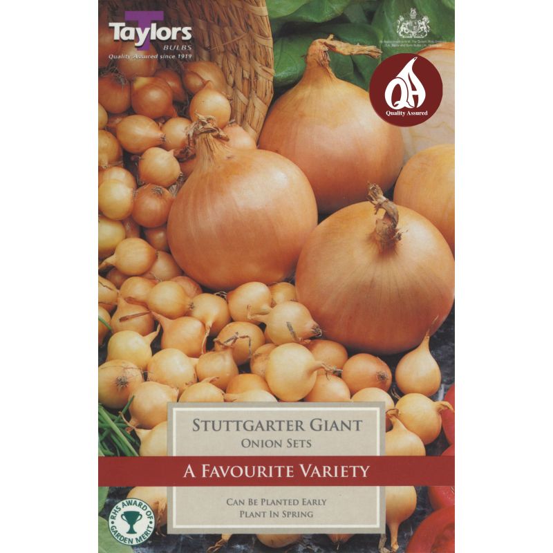 Packet of Taylors Stuttgarter Giant onion sets showing large and small yellow onions with planting advice on front.