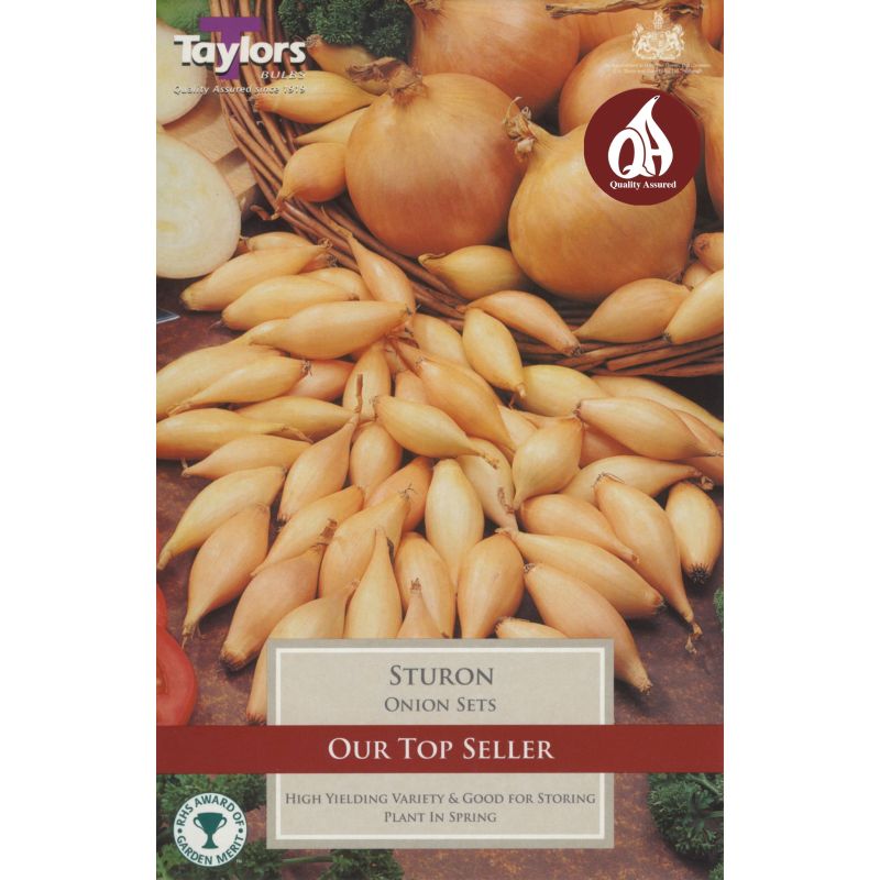 Sturon onion sets with mature onions in a basket, labeled as a high-yielding, award-winning variety.