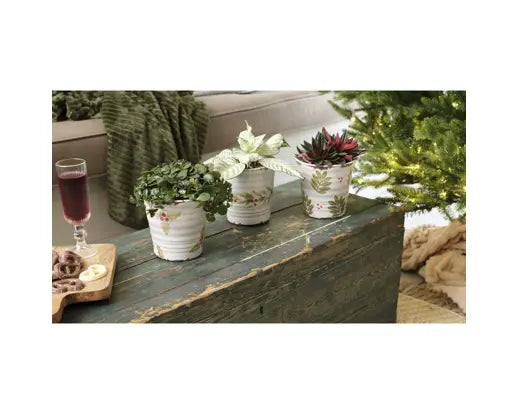Hand-Painted Holly Terracotta Planter 13.5cm – Assorted Design D.14cm x H.13.5cm - Image 2