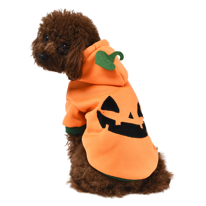 Dog costume pumpkin hoodie for pets, festive orange with green stem detail - Keans Claremorris store