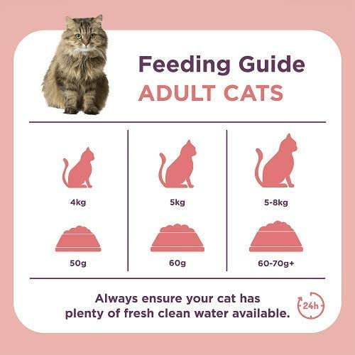 Burgess Supacat Scottish Salmon Adult Cat Food 10kg bag available at Keans Claremorris