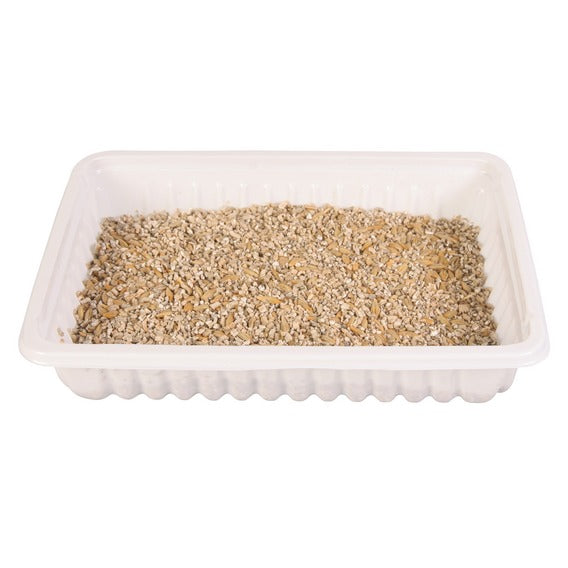 Cat Grass Refill 100g for Cats, Natural Cat Care Supplement | Keans Claremorris