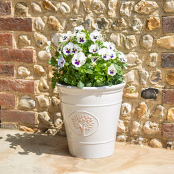 Blenheim Pot - light green/White