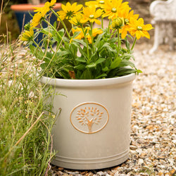 Cotswold Cylinder - Off White