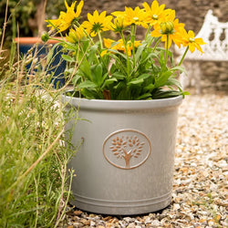 Cotswold Cylinder - Grey