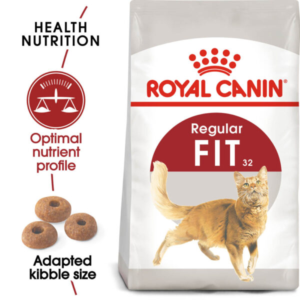 Royal Canin Canin Fit Cat Food 4kg bag available at Keans Claremorris – premium nutrition for healthy cats.