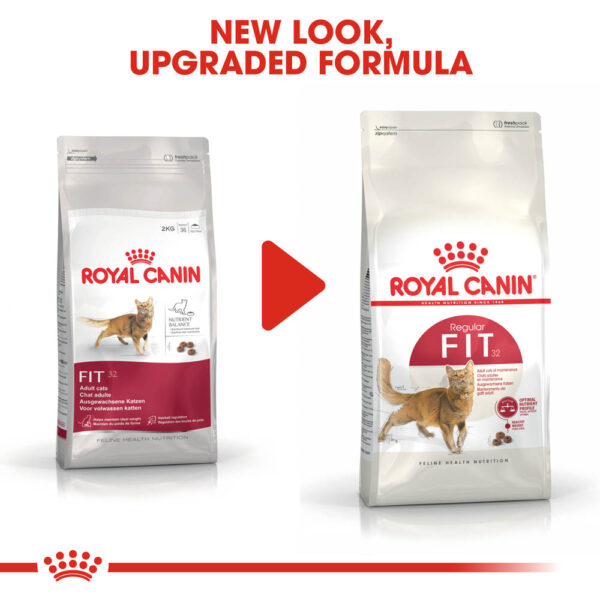 Royal Canin Canin Fit Cat Food 4kg bag, premium nutrition for cats, available at Keans Claremorris.