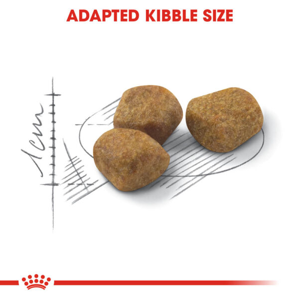 Royal Canin Canin Fit Cat Food 4kg bag available at Keans Claremorris for balanced feline nutrition.