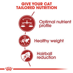 Royal Canin Canin Fit Cat Food 4kg bag available at Keans Claremorris – premium nutrition for healthy cats.