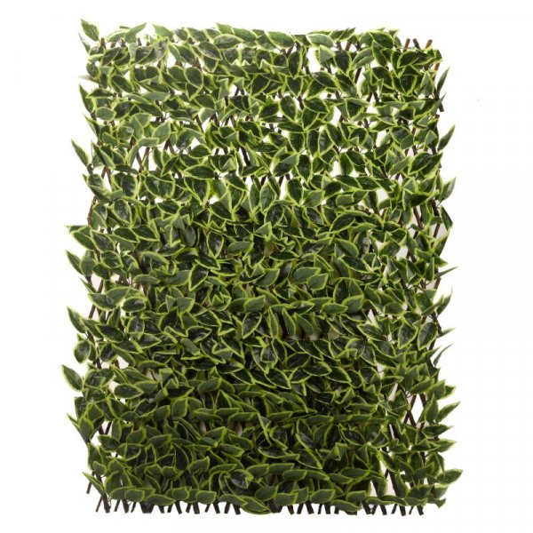Hosta Leaf 180x90cm decorative trellis with leaf design, perfect for garden decor – Keans Claremorris