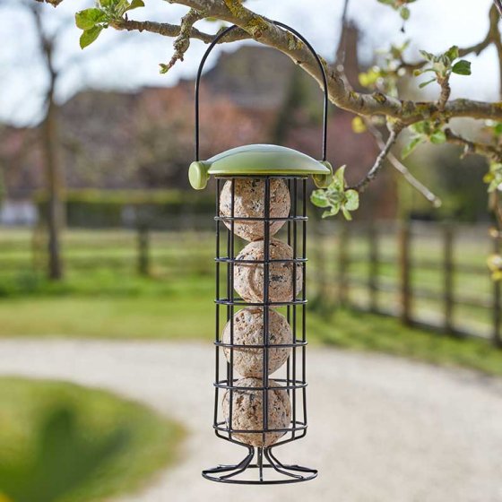 20cm Twist Top Suet Ball Feeder hanging from a tree branch with four suet balls inside a black metal cage and green lid.