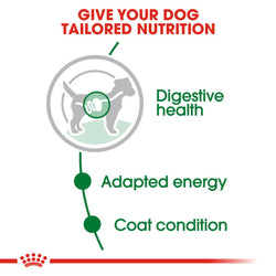 Royal Canin Mini Adult cat food in gravy pouch 85g – small breed nutrition, available at Keans Claremorris