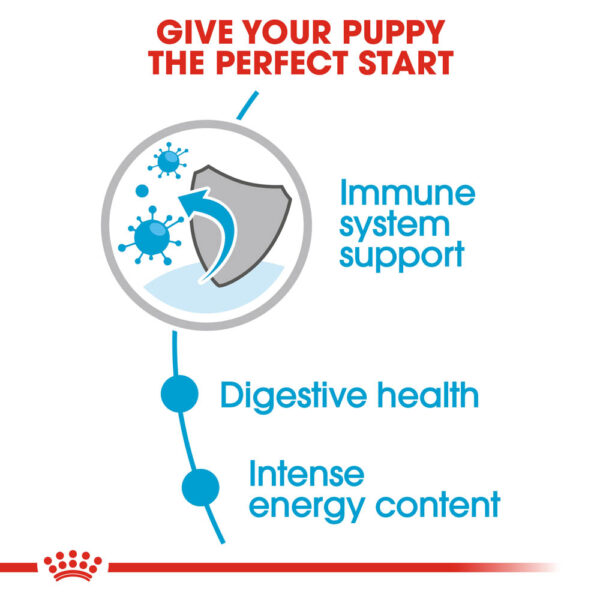 Royal Canin Maxi Adult dog food gravy pouch 140g – nutritious meal for large breeds | Keans Claremorris
