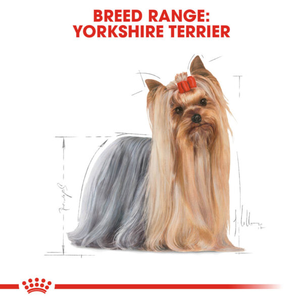 Royal Canin Yorkshire Terrier Dog Pouch 85g – Nutritious wet food for small dogs | Available at Keans Claremorris