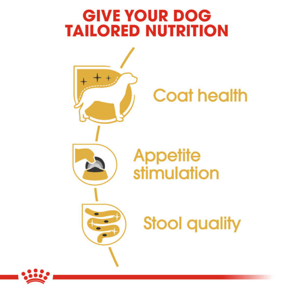 Royal Canin Yorkshire Terrier Dog Pouch 85g – Nutritious wet food for small dogs | Available at Keans Claremorris