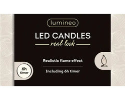 LED Realistic Wick Dinner Candles – Set of 2 (Cream/Warm White 2.2 × 24.5cm) BO Indoor