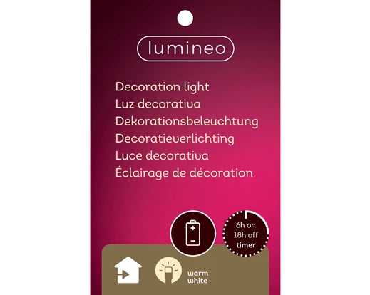 Micro LED Santa Mr & Mrs BO indoor - Image 3