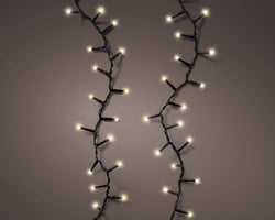 600L LED warm white Durawise compact lights BO