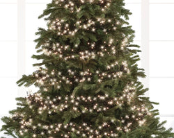 1512 LED Cluster Lights – Warm White LEDs, 13.5m (Green Cable)