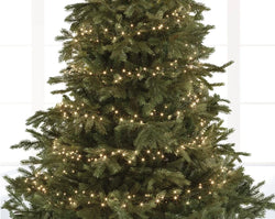 LED Compact Outdoor Lights Warm White Twinkle 2250cm 1000 LEDs – Keans Claremorris