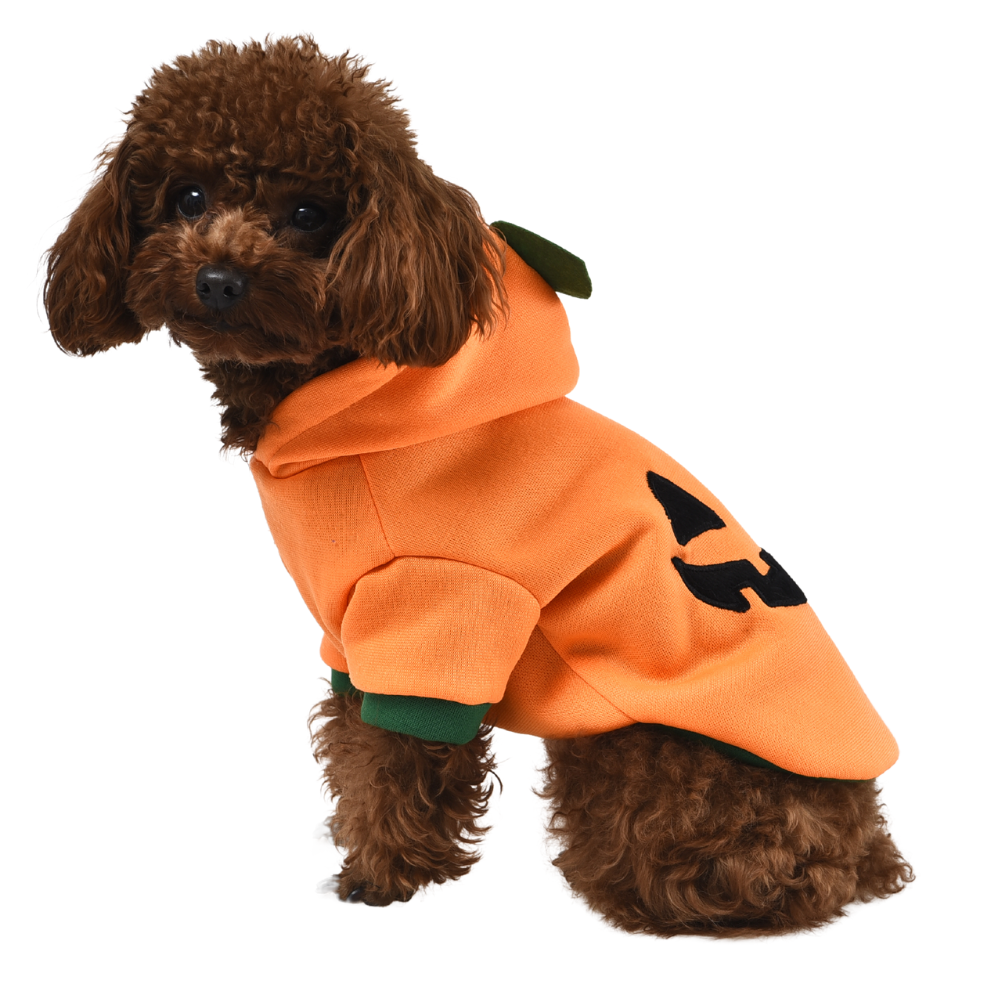 Dog wearing orange pumpkin hoodie costume, cute fall outfit for pets, available at Keans Claremorris.