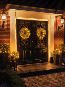 756L Micro LED extra dense lights  8 function warm white