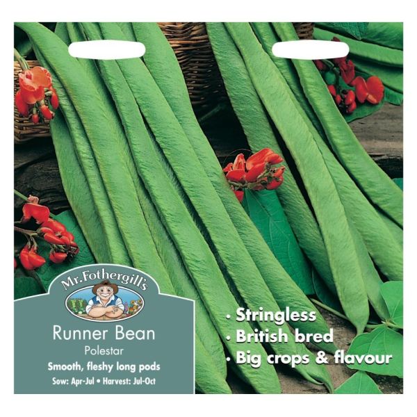 Runner Bean Polestar - Image 1