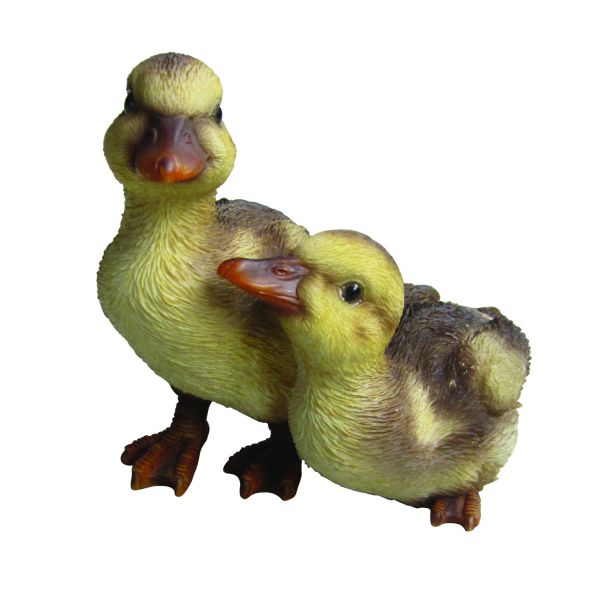 NF Duckling Group D resin ornament, hand-painted, UV stable, frost resistant, indoor/outdoor decor - Keans Claremorris