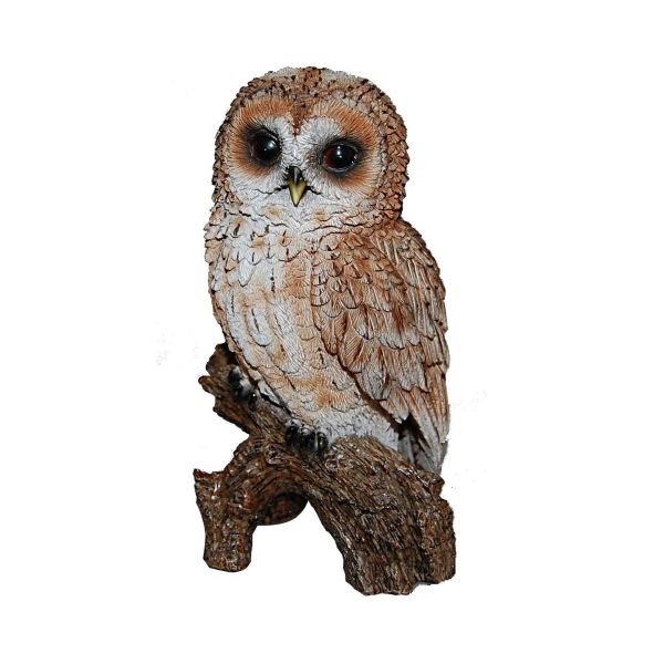 Real Life Tawny Owl resin ornament, hand-painted, UV stable, frost resistant, indoor/outdoor decor by Keans Claremorris