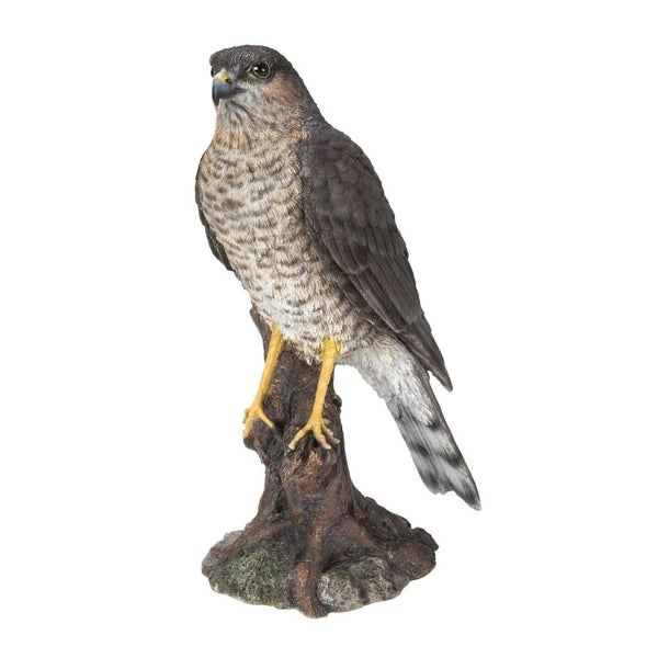 Real Life Sparrowhawk D resin ornament, hand painted, UV stable, frost resistant, indoor/outdoor use – Keans Claremorris