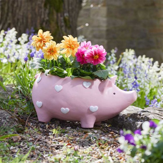 Piggy Planter - colorful, weather-resistant planter for indoor/outdoor use, perfect for succulents. Available at Keans