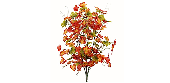 Maple Leaf Bush x 9 90L 50cm